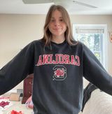 usc gamecocks sweatshirt Black Photo 0