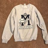 Vintage Gray crewneck hoodie Photo 0