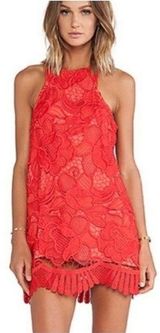 Lovers + Friends Caspian Floral Red‎ Lace Embroidered Mini Dress SZ Small Photo 0