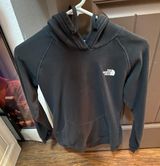 The North Face Logo Hoodie Photo 0