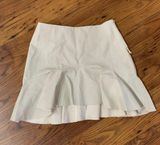 ZARA Skirt  Photo 0