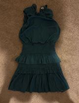 The Impeccable Pig Dress Photo 0