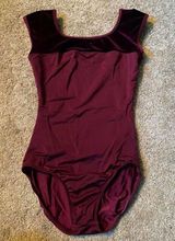 BalTogs Burgundy Leotard Red Photo 0