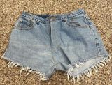Levi Jean Shorts Photo 0
