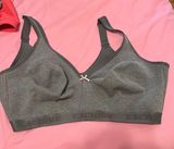 Lane Bryant Bra  Photo 0
