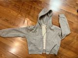 Grey John Galt Cropped Hoodie Zip-Up Photo 0