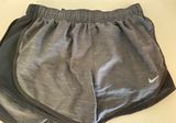Nike Gray Shorts Photo 0