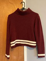 Turtleneck Sweater Photo 0