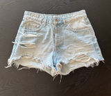Zara Jean Shorts Photo 0