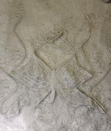 Passports vintage butterfly top Photo 0