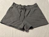 Lululemon Gray Shorts Photo 0