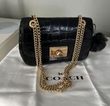 Embossed Crocodile Cassidy Chain Crossbody/Shoulder Bag Photo 0