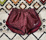 Nike Dri-Fit Shorts Photo 0