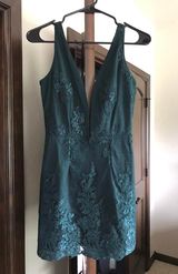 Tobi Bodycon Mini Dress Photo 0