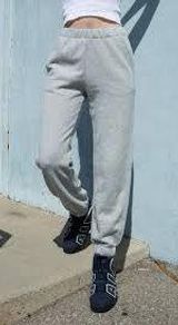 Hollister Gray Sweatpants Photo 0