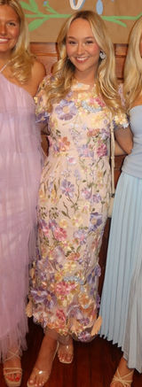 Boutique 3D Floral Embroidery Dress Multiple Photo 0