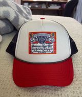 Budweiser Hat Trucker PacSun Photo 0