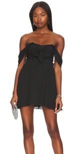 Revolve Mini Dress Photo 0