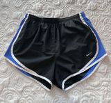 Nike Dri-Fit Shorts Photo 0