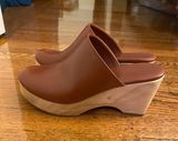 Everlane Clogs Photo 0