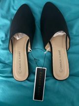 Charles Albert slides Photo 0