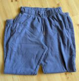 Hollister Blue Sweatpants Photo 0