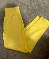 AYBL Seamless Leggings Photo 0