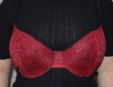 DKNY Red And Black Lace Bra 34DD Photo 0