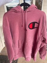 Champion Hoddie Photo 0