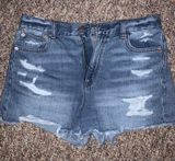 American Eagle Outfitters Shorts Photo 0