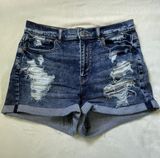 American Eagle Outfitters Shorts Photo 0