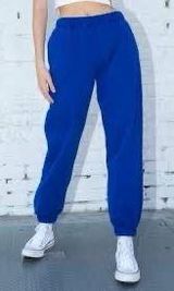 Brandy Melville blue  sweatpants Photo 0
