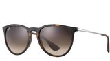 Ray-Ban Erika Tortoise Polarized Rb4171 Photo 0