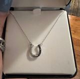 Diamond Horseshoe Necklace Photo 0