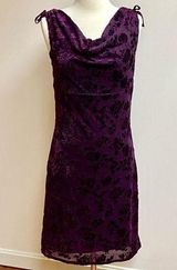 Fashion Bug  Burgundy Sleeveless Dress Photo 0