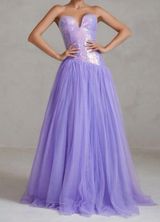 Metallic Sequin And Mesh Formal Dress  Photo 0