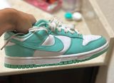 Nike Low Dunks Photo 0