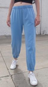 Brandy Melville Blue Sweatpants Photo 0