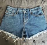 Vintage Denim Shorts Photo 0