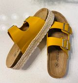 Alexis Bendel Shoes Photo 0