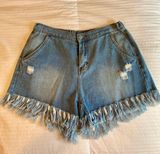 Hayden Denim Shorts Photo 0