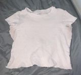 Brandy Melville Little Crop Tee Photo 0