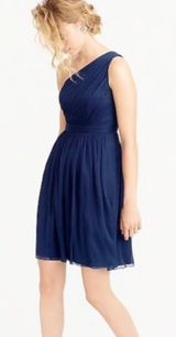 J.Crew NWT  blue dress size P6 Photo 0