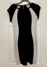 BB Dakota Jack by Black and White Colorblock Vertical Stripe Dress Size Smal Photo 0