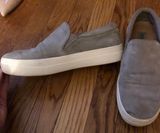 Steve Madden Shoes Photo 0