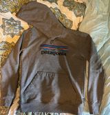 Patagonia Hoodie Photo 0
