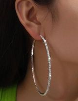 NWT Silver Rhinestone Fashion Hoop Earrings Photo 0