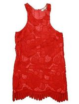 Lovers + Friends Sleeveless Red Lace Caspian Mini Dress REVOLVE size Small Photo 0