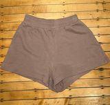 ZARA Brown  Casual Shorts Photo 0