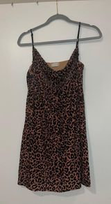 Cheetah Print Mini Dress Photo 0